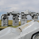 Illustration for article titled Americas ten most awesome roadside attractions